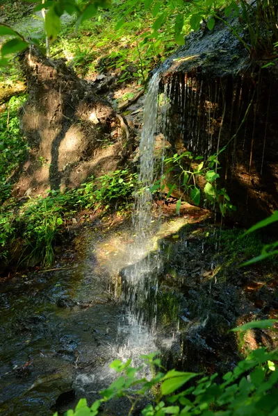 DSC_2814 (Large).JPG